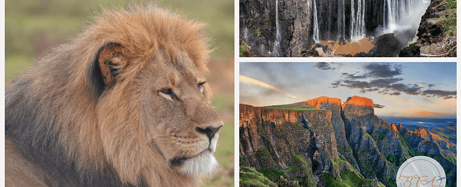 luxurious african safari