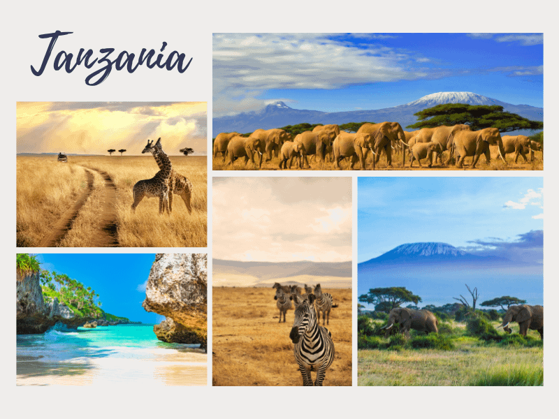 Tanzania Africa Luxury Safari