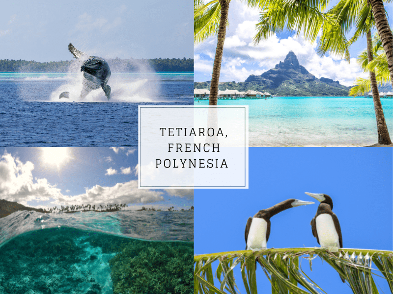 Luxury Destinations You Never Knew Existed