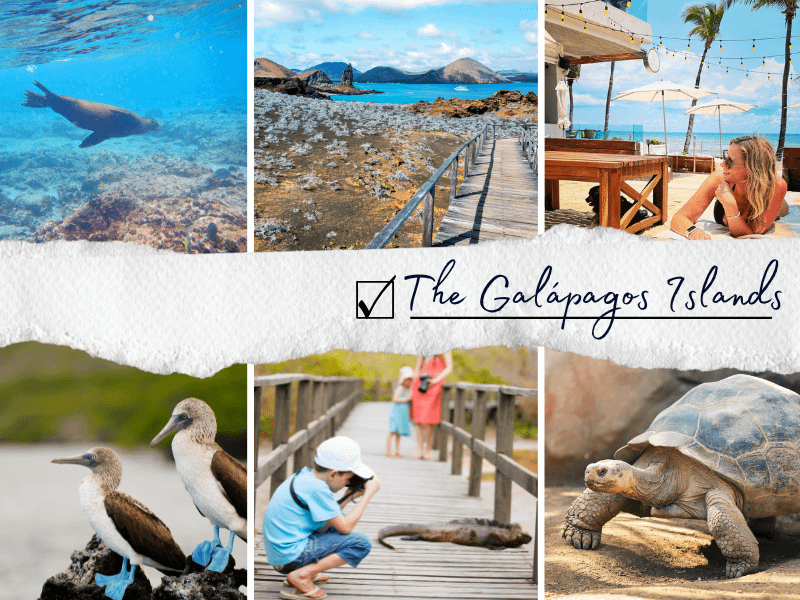 bucket-list experience